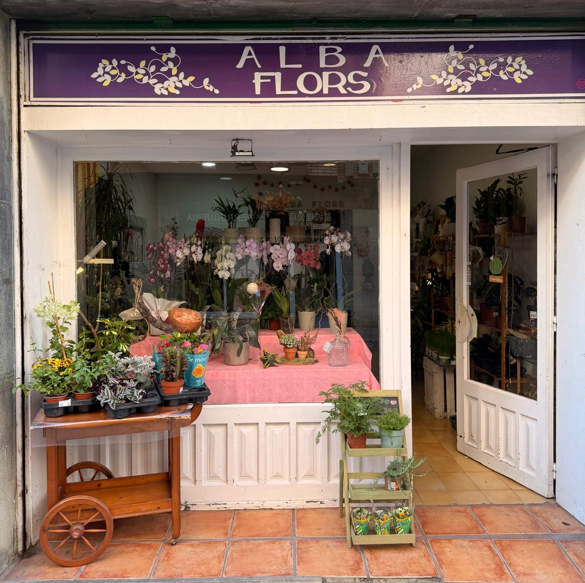 Escaparate de la floristería Alba Flors en Manresa